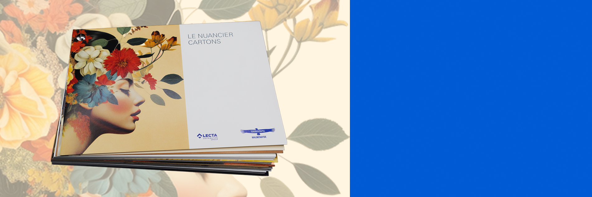 bd_Nuancier_Cartons.png
