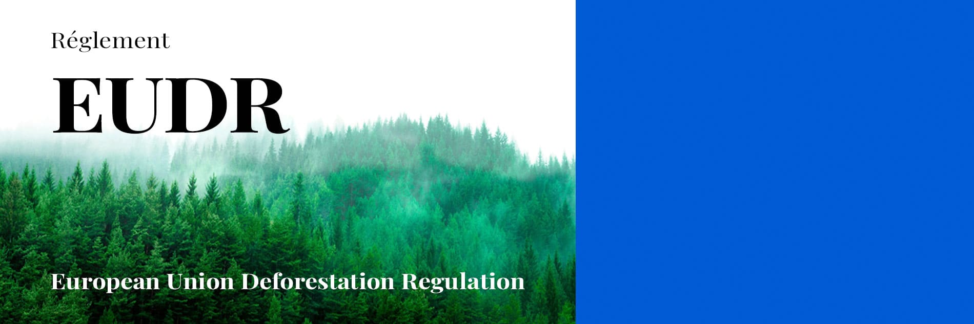 bd_EUDR.jpg